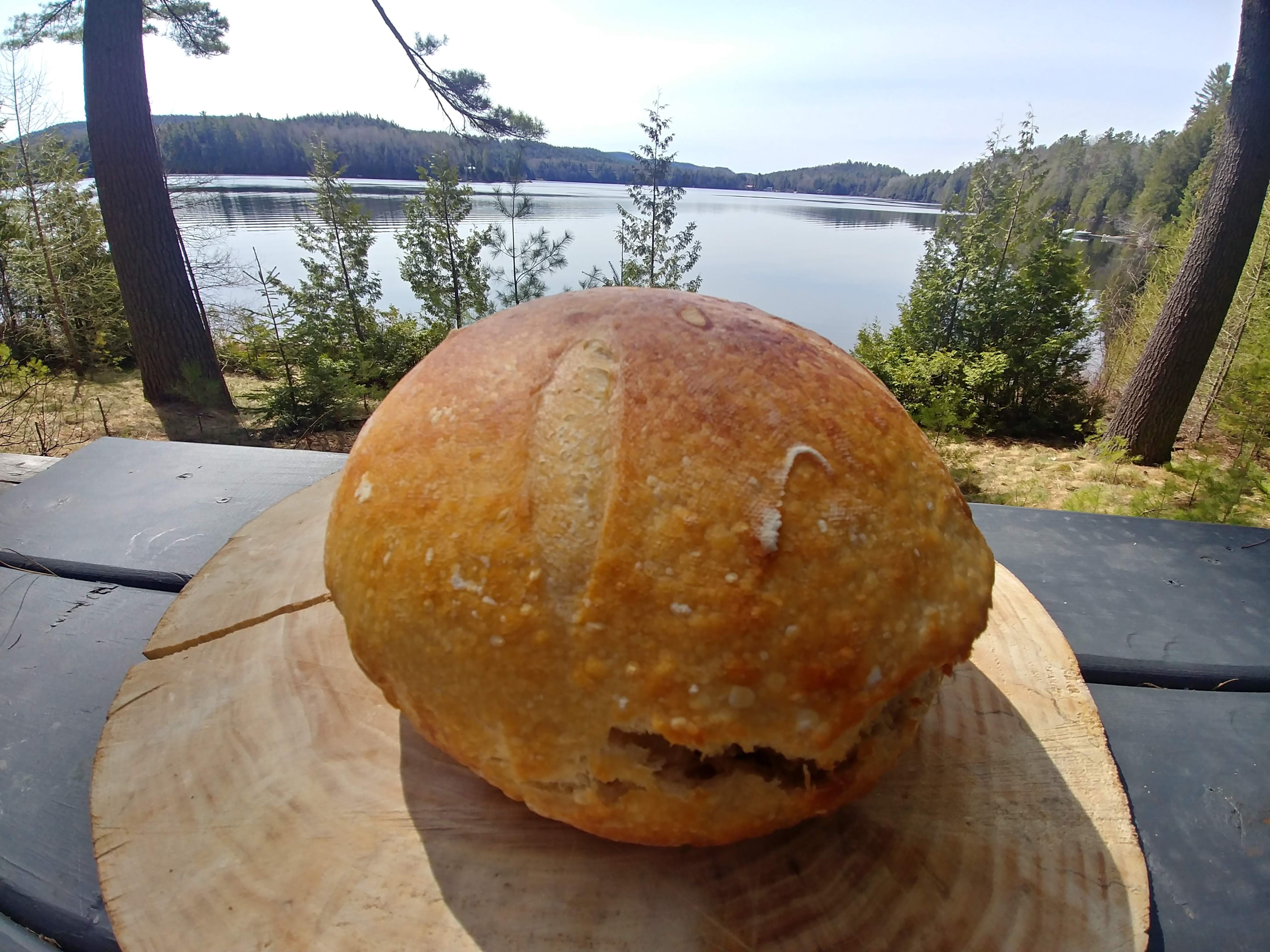 This image has an empty alt attribute; its file name is 20200517_103514_hdr.jpg